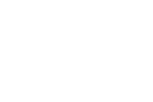 Veilig Verkeer Nederland