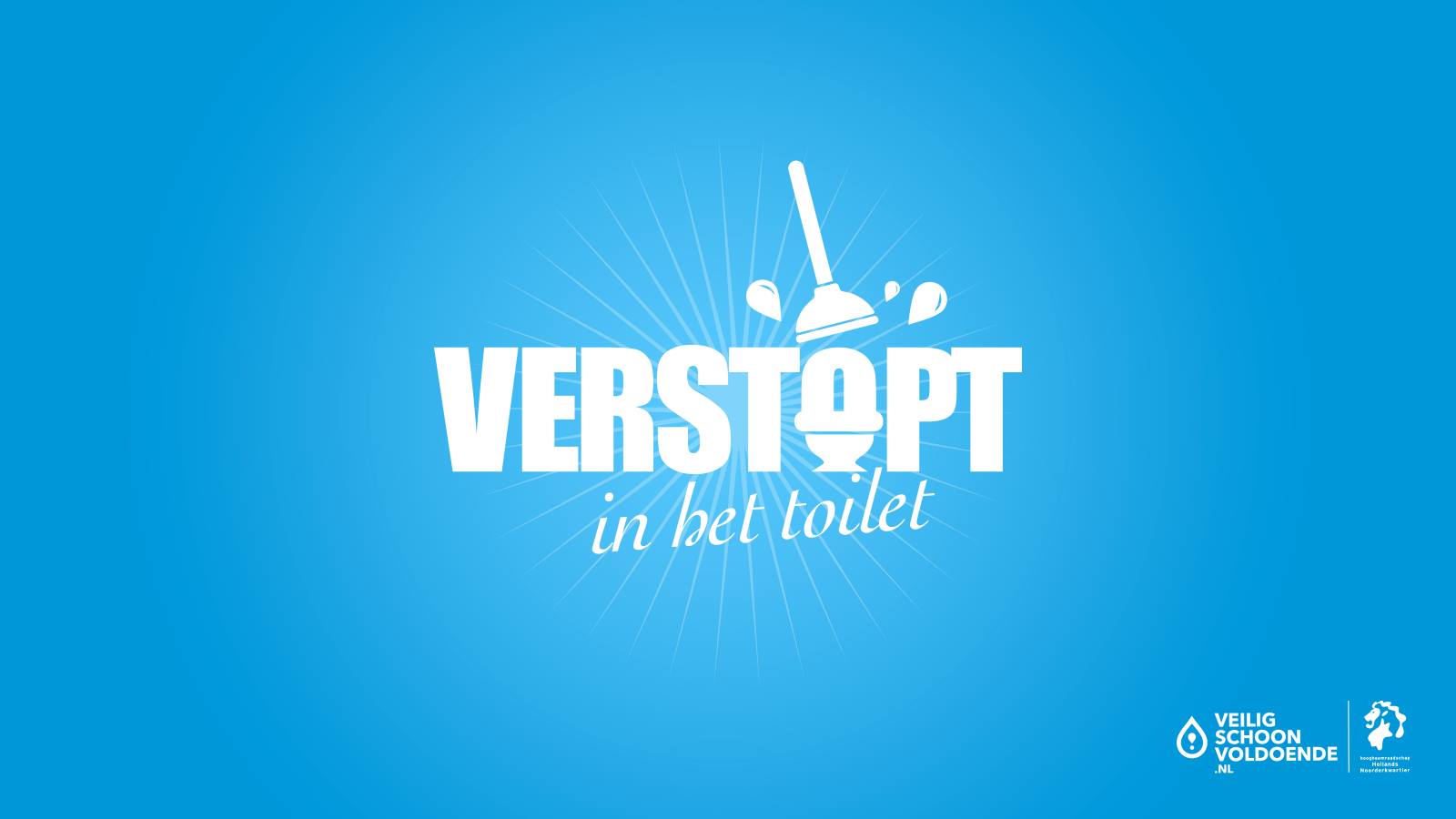 Verstopt in het toilet